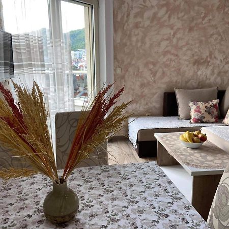 Apartment Dragan ブドヴァ エクステリア 写真